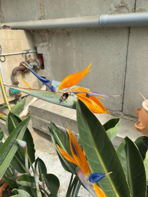 0289d4c8-8871-433e-94f6-76cb69f1f613