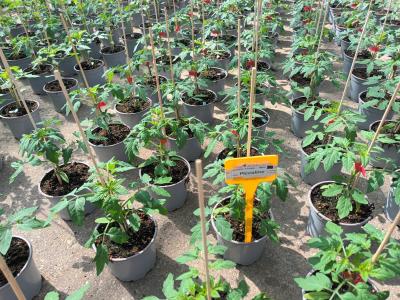 2ea0e837-14ea-4e02-a3e1-aff566c2fccf