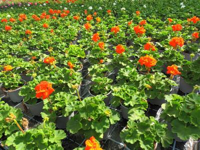 3a55f79b-2153-4335-b65e-7796a4056b1e