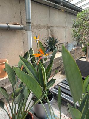 6a200907-1a19-4bfd-a309-35407b0686e7