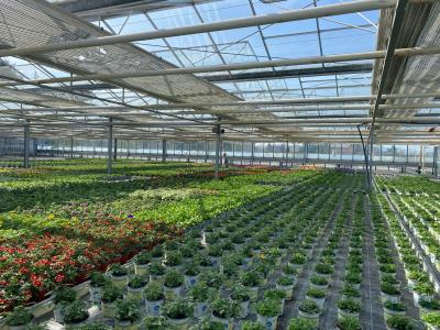 6a403c7d-ce39-4c00-9fb0-a66530d96e54