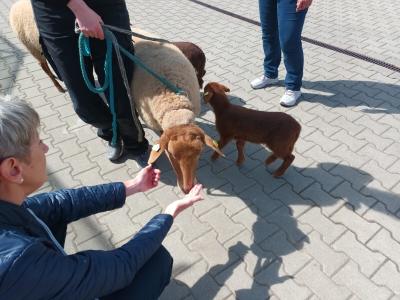 98616251-032b-426c-ade8-a3b4240a2251